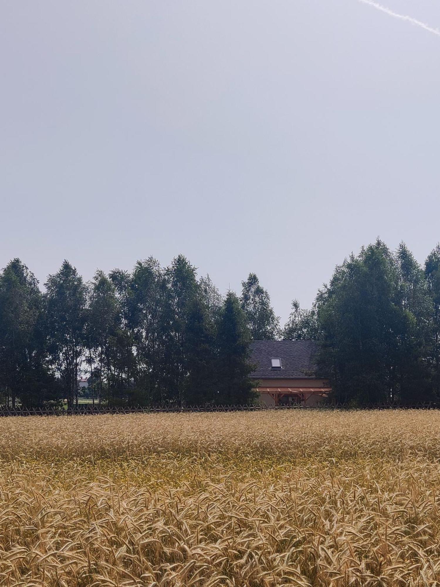 Ferienhaus Checz Pod Brzozami